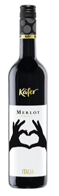 Wine Merlot Italia Red Dry